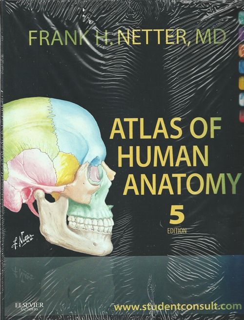 Атлас человека неттер. Фрэнк Неттер. Frank Netter Atlas of Human Anatomy. Фрэнк Неттер атлас анатомии человека. Atlas of Human Anatomy by Frank h. Netter.